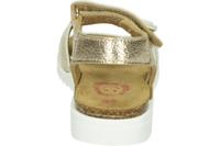 Develab 48508 - alle - thumbnail