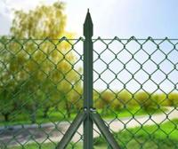 *Vierk.gaas groen gepl.1000x2.7(25) - thumbnail