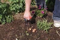 Connex Bloembollenplanter Automatic - FLOR42770 - thumbnail