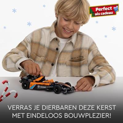 LEGO Technic NEOM McLaren Formule E racewagen 42169