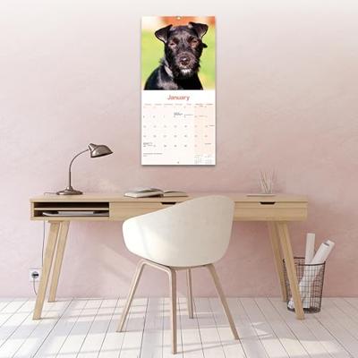 Patterdale Terrier Kalender 2026
