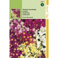 Zaden Linaria Vlasleeuwenbekje Fairy Bouquet gemengd Hortitops - Hortitops - thumbnail