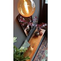 Eucalyptus - thumbnail