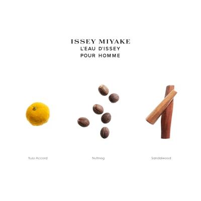 Issey Miyake L&apos;Eau D&apos;Issey Pour Homme After Shave Lotion 100ml Vloeibare aftershave Eau de Toilette Heren - thumbnail