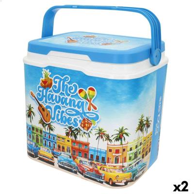 Koelbox Aktive Plastic 37 x 35 x 27 cm (2 Stuks)