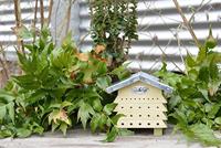 Bijenhuis hout - thumbnail