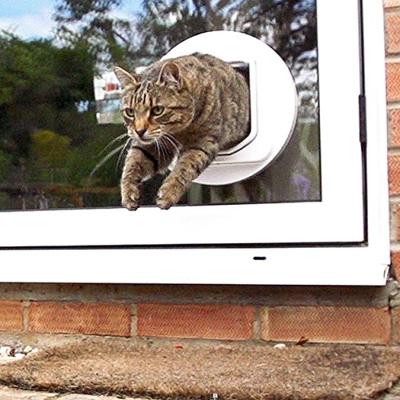 SureFlap Kattenluik Microchip DualScan