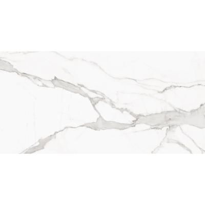 Vloertegel Alaplana P.E. Palladio Statuario Mat Satin 60x120 cm Gerectificeerd Marmerlook Alaplana