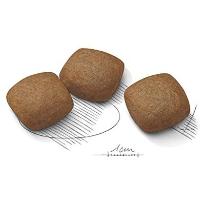 Royal Canin Maxi Joint Care hondenvoer 2 x 10 kg