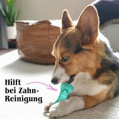 Moodies DJ Derpy (Reactive)