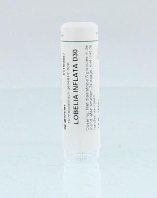 Homeoden Heel Lobelia inflata D30 6 Gram