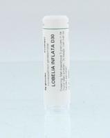 Homeoden Heel Lobelia inflata D30 6 Gram - thumbnail