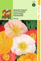 Zaden Papaver IJslandse Papaver gemengd Hortitops - Hortitops - thumbnail