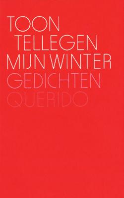 Mijn winter - Toon Tellegen - ebook