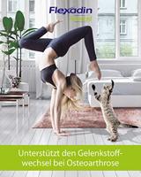 Flexadin Advanced Cat 1 zak (30 stuks) - thumbnail