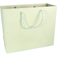 Tas | Papier | embossed | 31x 12x26cm | draagtas | pastelgroen | 40 stuks - thumbnail