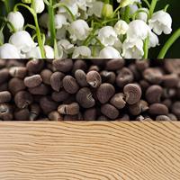 Calvin Klein Beauty Eau de parfum Spray 100 ml Dames - thumbnail