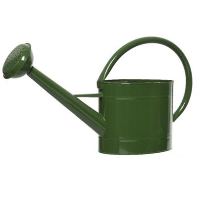 Donkergroene zinken tuinbewatering/kamerplanten gieters 5 liter - Gieters Donkergroene zinken tuinbewatering/kamerplanten gieters 5 liter - Gieters
