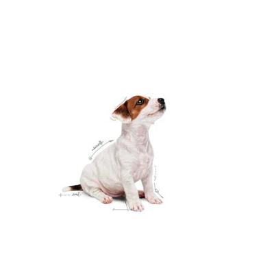 Royal Canin Mini natvoer voor puppy brokjes in saus zakjes 12x85gr - thumbnail