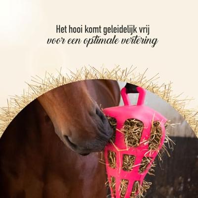 Hay Slow Feeder Fun & Flex Carrot Roze