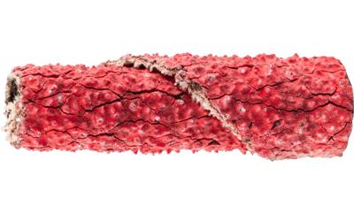 PFERD TOOLS PR 0625 CO-COOL 60 42810646 Schuurpapierrol Korrelgrootte (num) 60 (Ø x h) 6 mm x 25 mm 50 stuk(s)