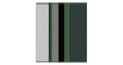 DDDDD Keukendoek Rico green