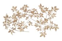 Countryfield parthenocissus 170 cm goud - thumbnail