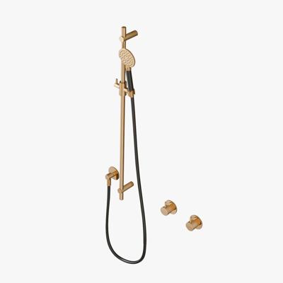 Glijstangset Hotbath Cobber Met Wandaansluitbocht En Handdouche Geborsteld Messing Living Colours