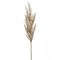 Kunstbloem Pampas Gras 92 cm - thumbnail