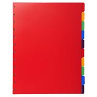 Exacompta uitneembare tabbladen voor showalbum met ringen, in gekleurd PP, 10 tabs - thumbnail
