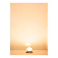 Faller H0 Lampfitting Enkel Accessoire 180667 1 stuk(s) - thumbnail