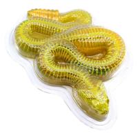 DISSECT-IT Ontleed een Ratelslang Mega Giftbox - thumbnail