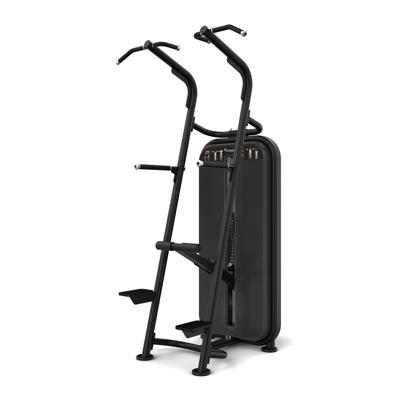 Vision Fitness chin/dip assist Vision Fitness chin/dip assist