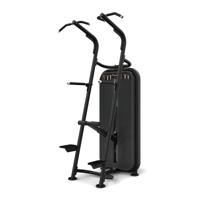 Vision Fitness chin/dip assist - thumbnail