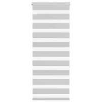 Zebra rolgordijn 55x150 cm stofbreedte 50,9 cm lichtgrijs - thumbnail