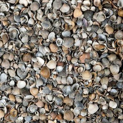 Schelpen bruin/grijs 8/16 mm Mini BigBag 450 kg Gardenlux - Gardenlux