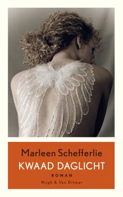 Kwaad daglicht - Marleen Schefferlie - ebook