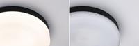 Paulmann 96778 Amalie LED-plafondlamp LED 16 W Zwart (mat) - thumbnail
