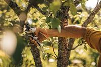 Plus PowerLever metalen snoeischaar bypass P751 Fiskars - Fiskars - thumbnail