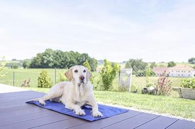 Tappetino rinfrescante - KERBL - CoolRelax - 50 x 40 cm - Blu