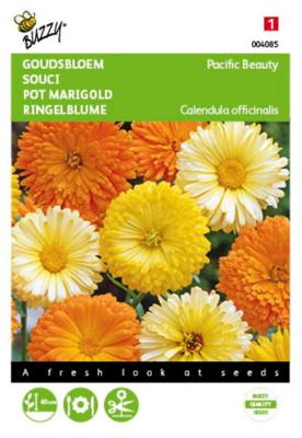 Zaden Calendula Goudbloem Pacific Beauty gemengd Buzzy - Buzzy