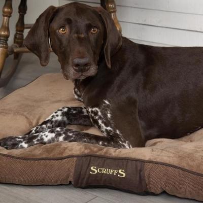 Scruffs Chester hondenkussen Chocolate L
