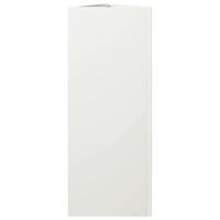 Plantenbak driehoek 30x26x75 cm staal wit - thumbnail