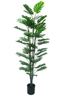 Monstera kunstplant 180 cm - Tropisch Zuid-Amerika Monstera kunstplant 180 cm - Tropisch Zuid-Amerika