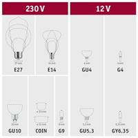 Paulmann LED-buis- Energielabel: F (A - G) G13 T8 11 W Daglichtwit 1 stuk(s) (Ø) 27 mm - thumbnail