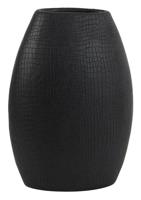 Vaas Mambas - thumbnail