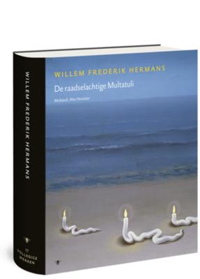 Volledige werken 17 (Hardback)