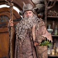 The Lord of the Rings Statue 1/6 Radagast in Rhosgobel Limited Edition 43 cm - thumbnail