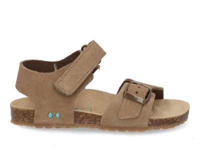 Bunnies Ben Beach 226416 408 taupe taupe maat 27