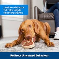 PREMIER BUSY BUDDY RING NATURAL - thumbnail